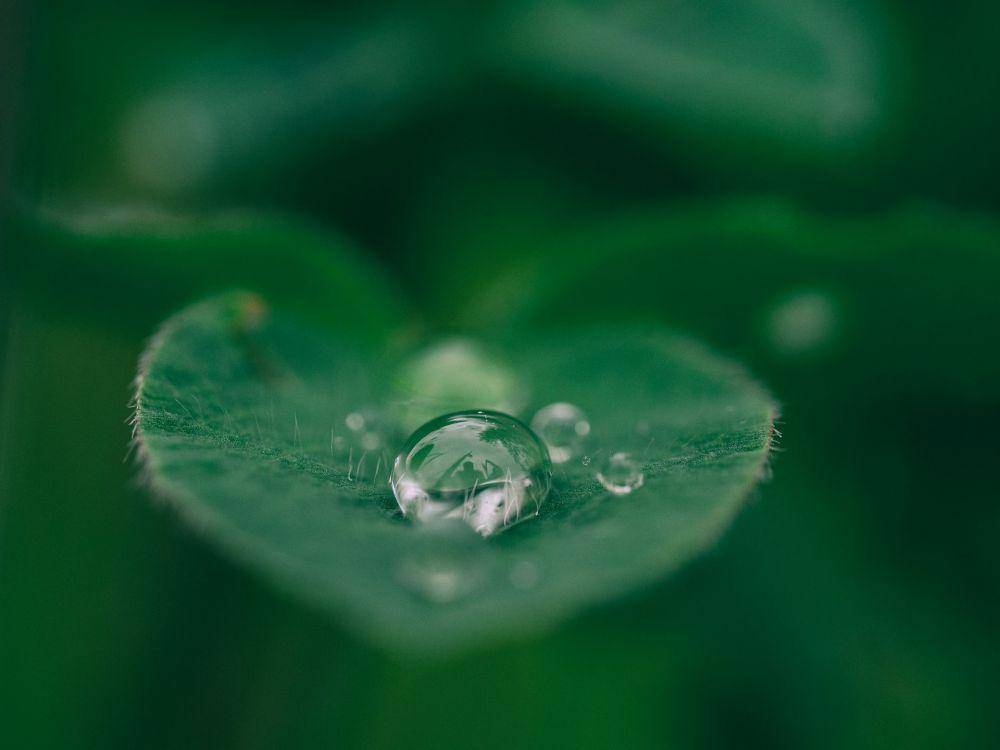 ilustrasi air (unsplash.com/Aaron Burden)