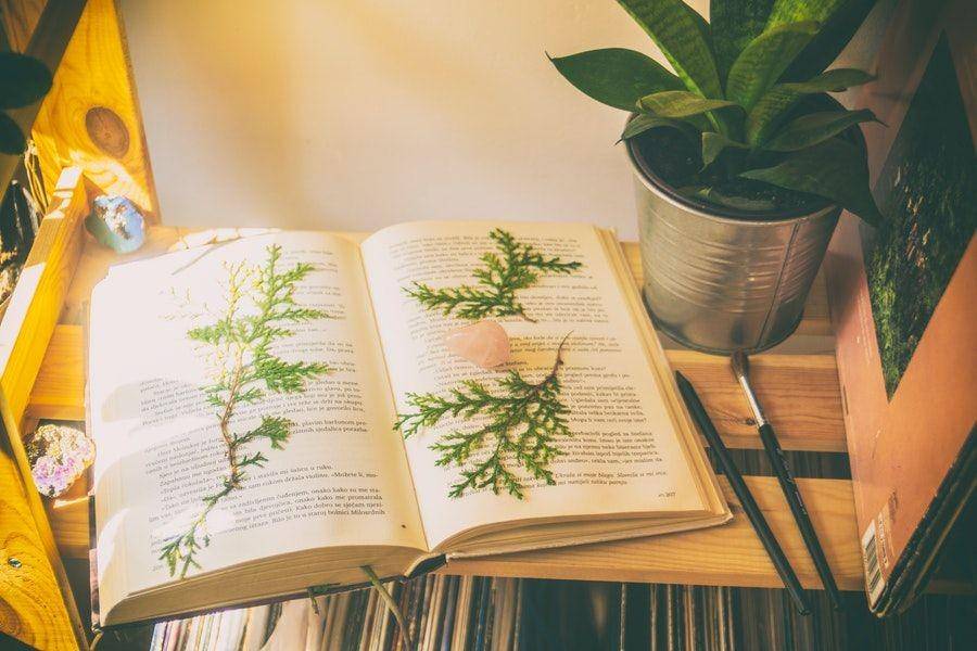 ilustrasi buku (Pexels.com/Melike Benli)