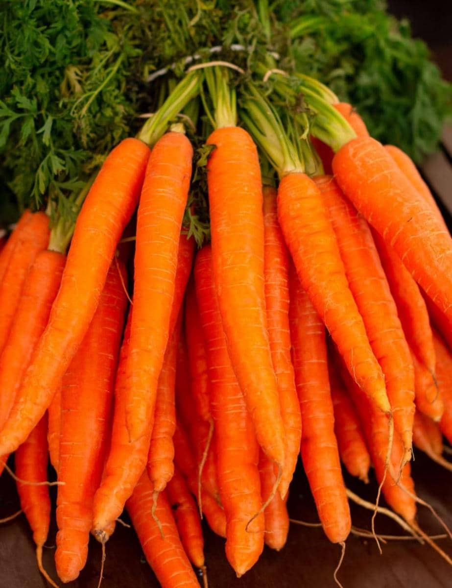 ilustrasi wortel (unsplash.com/K8)