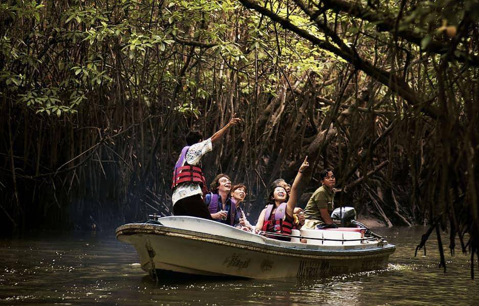 Mangrove boat tour Bintan (instagram.com/ genpi_bintan)