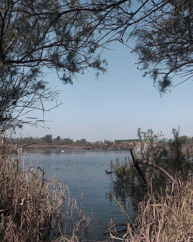potret Yamuna Biodiversity Park (instagram.com/n_bilder___)