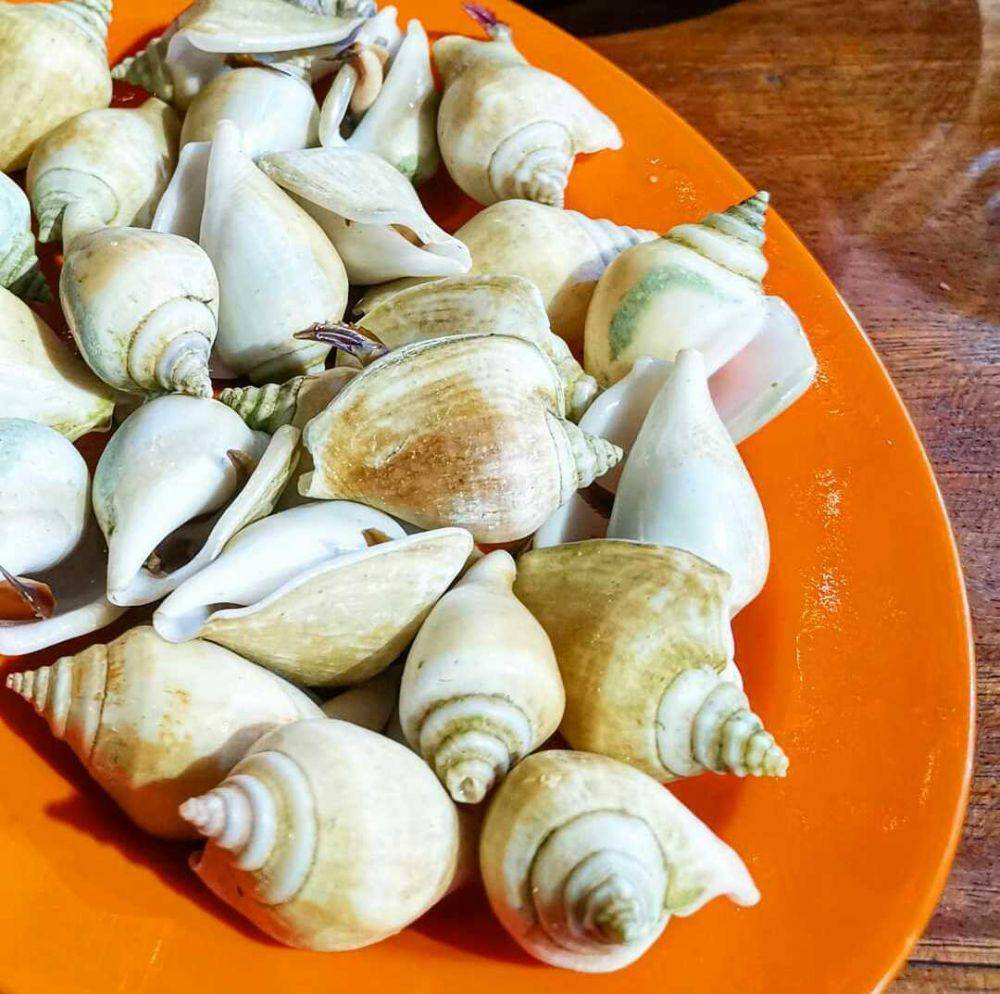 gonggong rebus (instagram.com/dianarahmat)