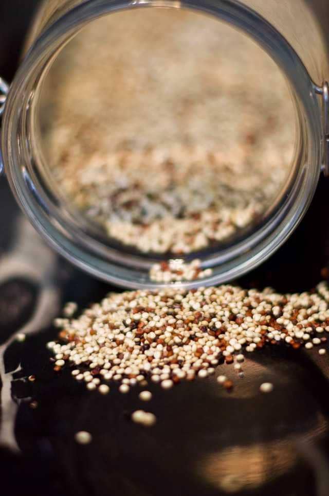 ilustrasi biji quinoa (unsplash.com/Dan Dennis)
