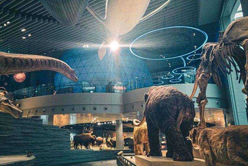 Shanghai Natural History Museum (instagram.com/goodspeed0721)