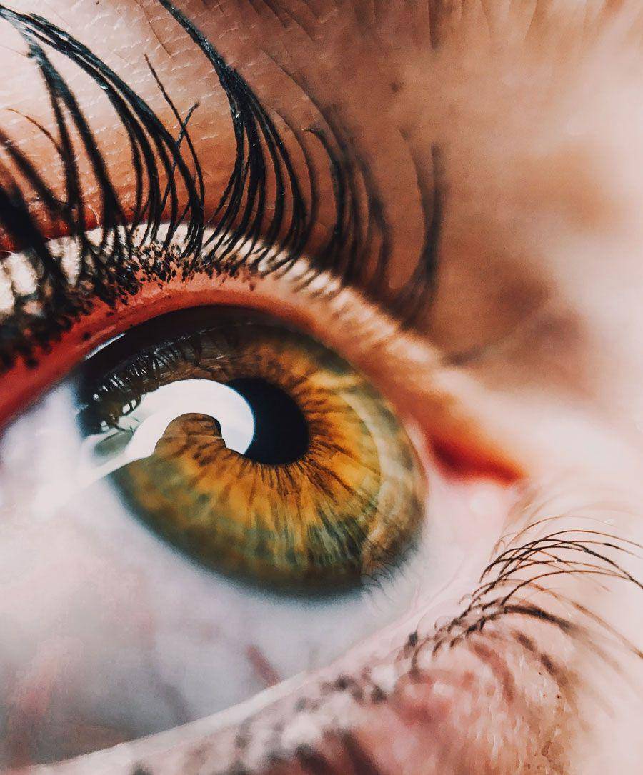 Ilustrasi bulu mata. (unsplash.com/Perchek Industrie)