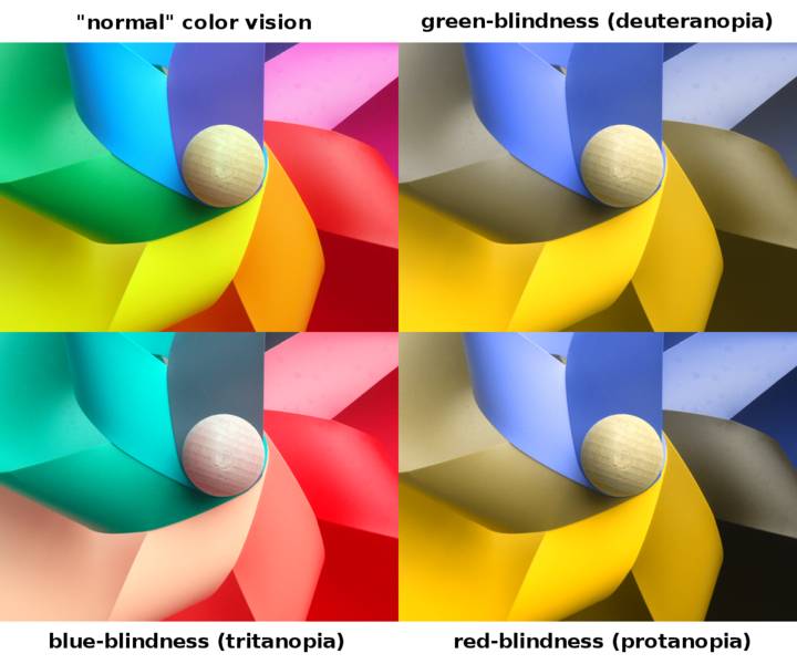 ilustrasi perbandingan tipe buta warna (commons.wikimedia.org/Johannes Ahlmann)