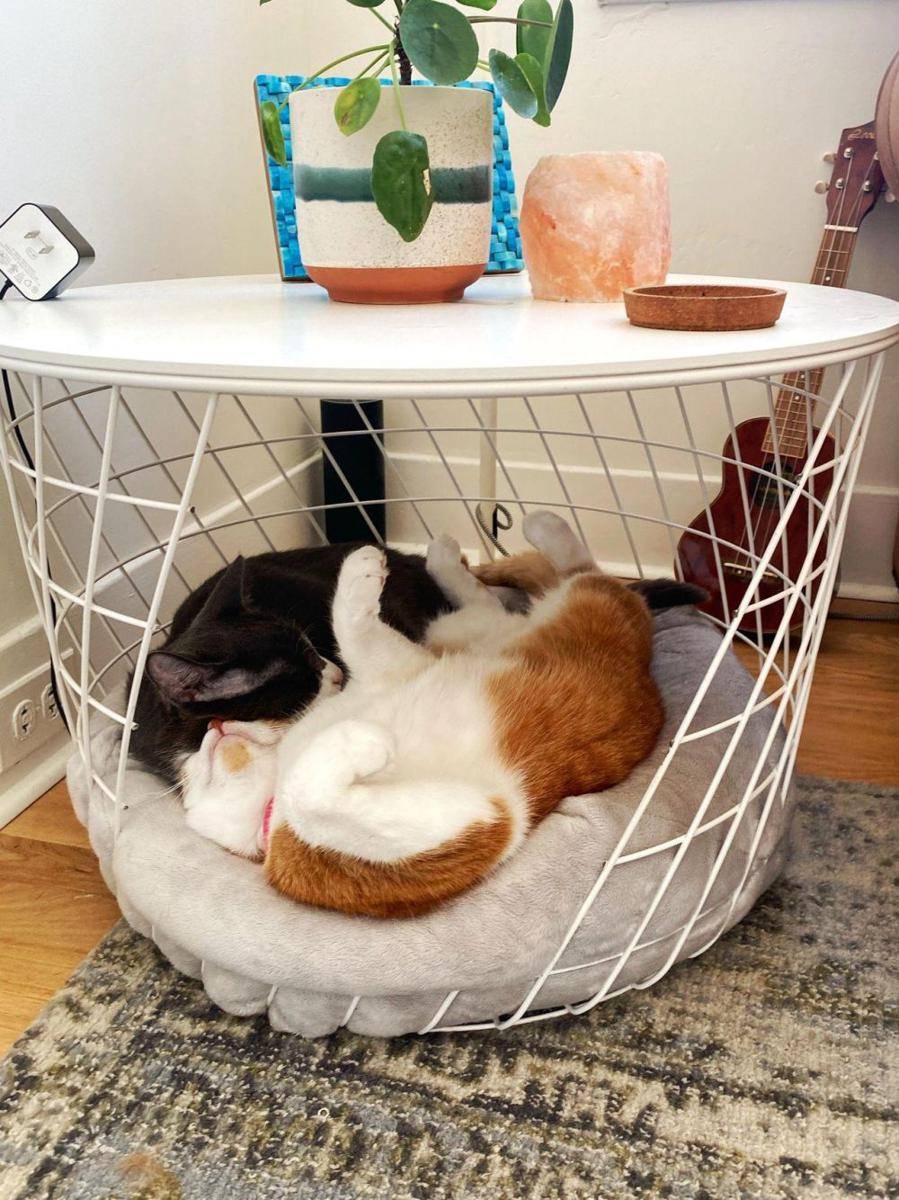 potret furnitur rumah (reddit.com/user/mokey-moke)