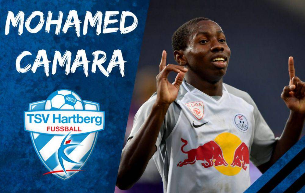 potret Mohamed Camara (tsv-hartberg-fussball.at)