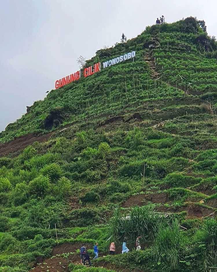 Gunung Cilik (instagram.com/gunungcilik_kaliurip)