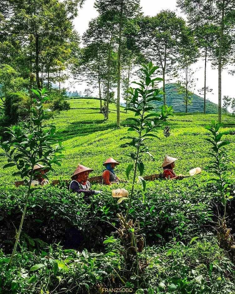 Gunung Cilik (instagram.com/franz_sobo)