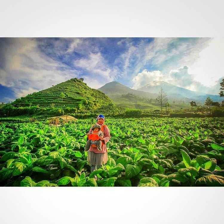 Gunung Cilik (instagram.com/septea_chan)