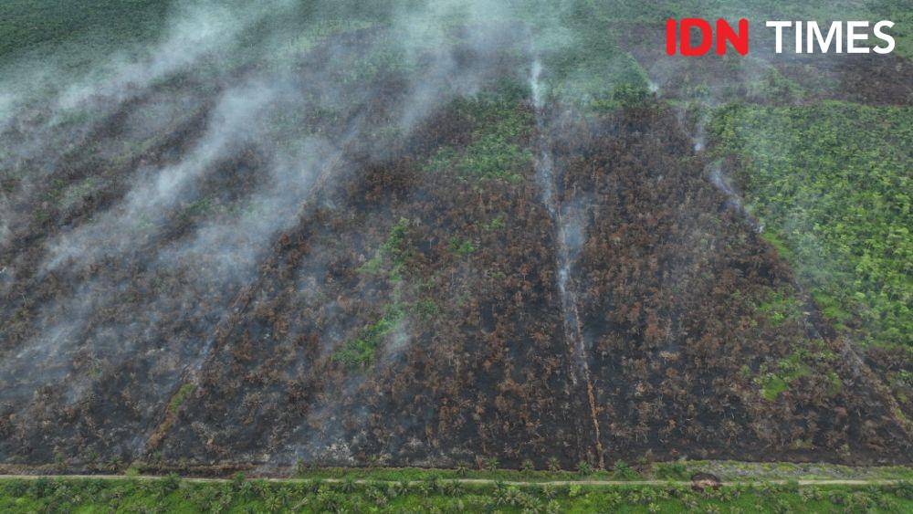 Lahan gambut di Aceh terbakar lebih dari sepekan (IDN Times/Saifullah)