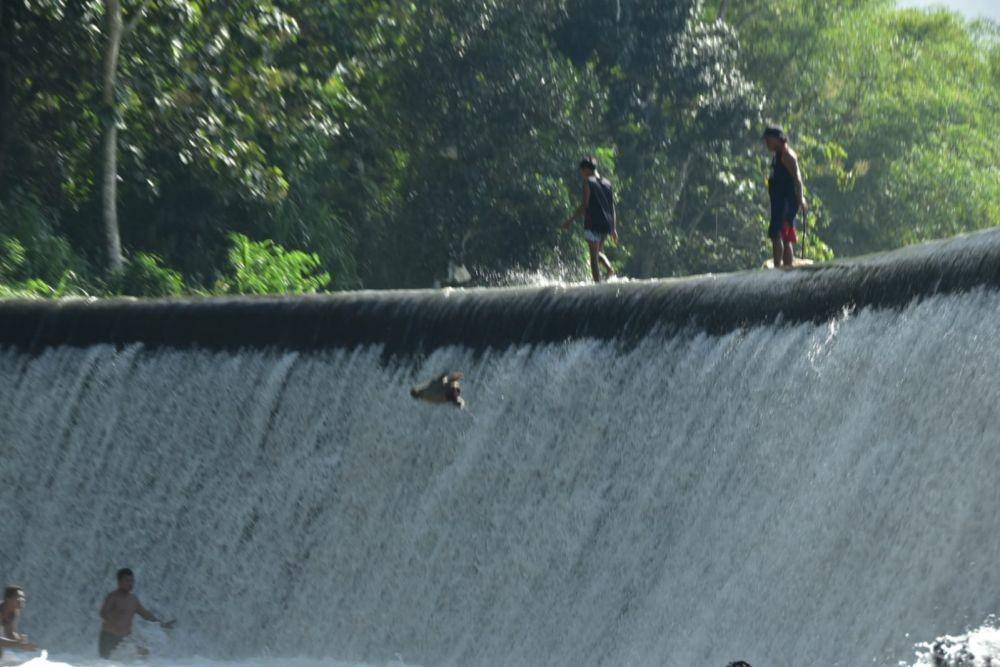 Kepala Kerbau dilarung ke dalam Dam Bagong. IDN Times/ Dok Humas Pemkab Trenggalek