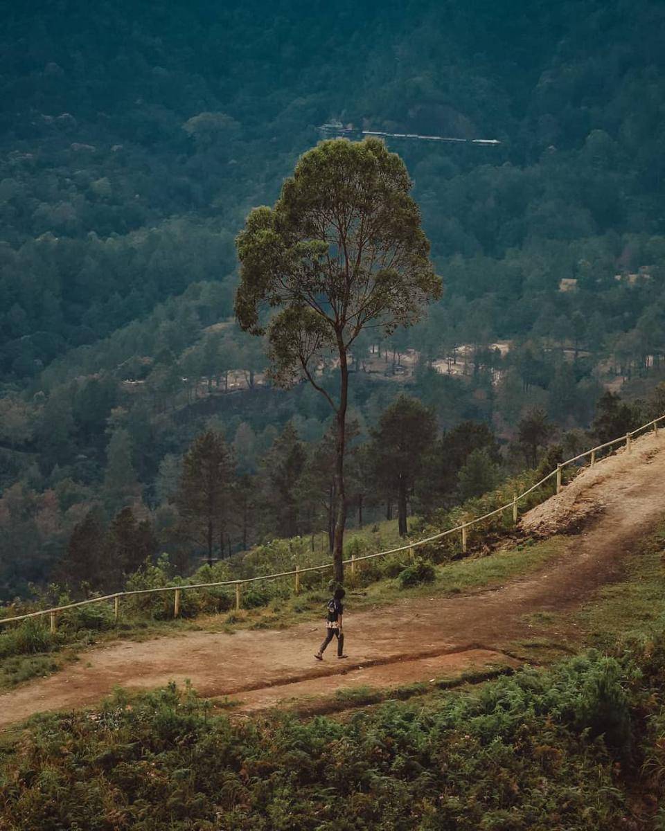Bukit Gajah Bobok (instagram.com/zazanashrulhuda)