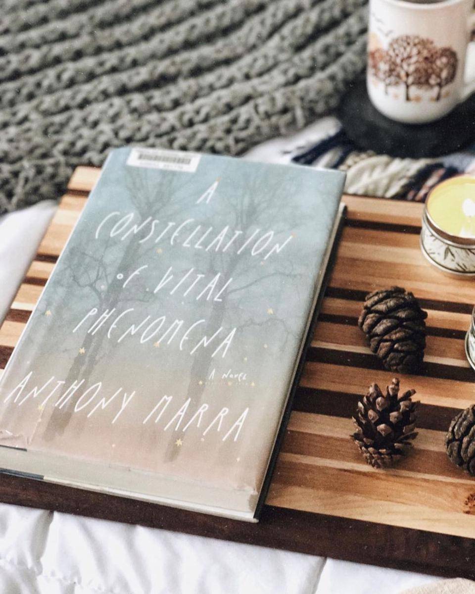 novel A Constellation of Vital Phenomena (instagram.com/jennareadsbooks)