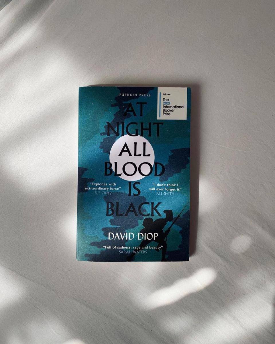 novel At Night All Blood is Black (instagram.com/fast.continuous)
