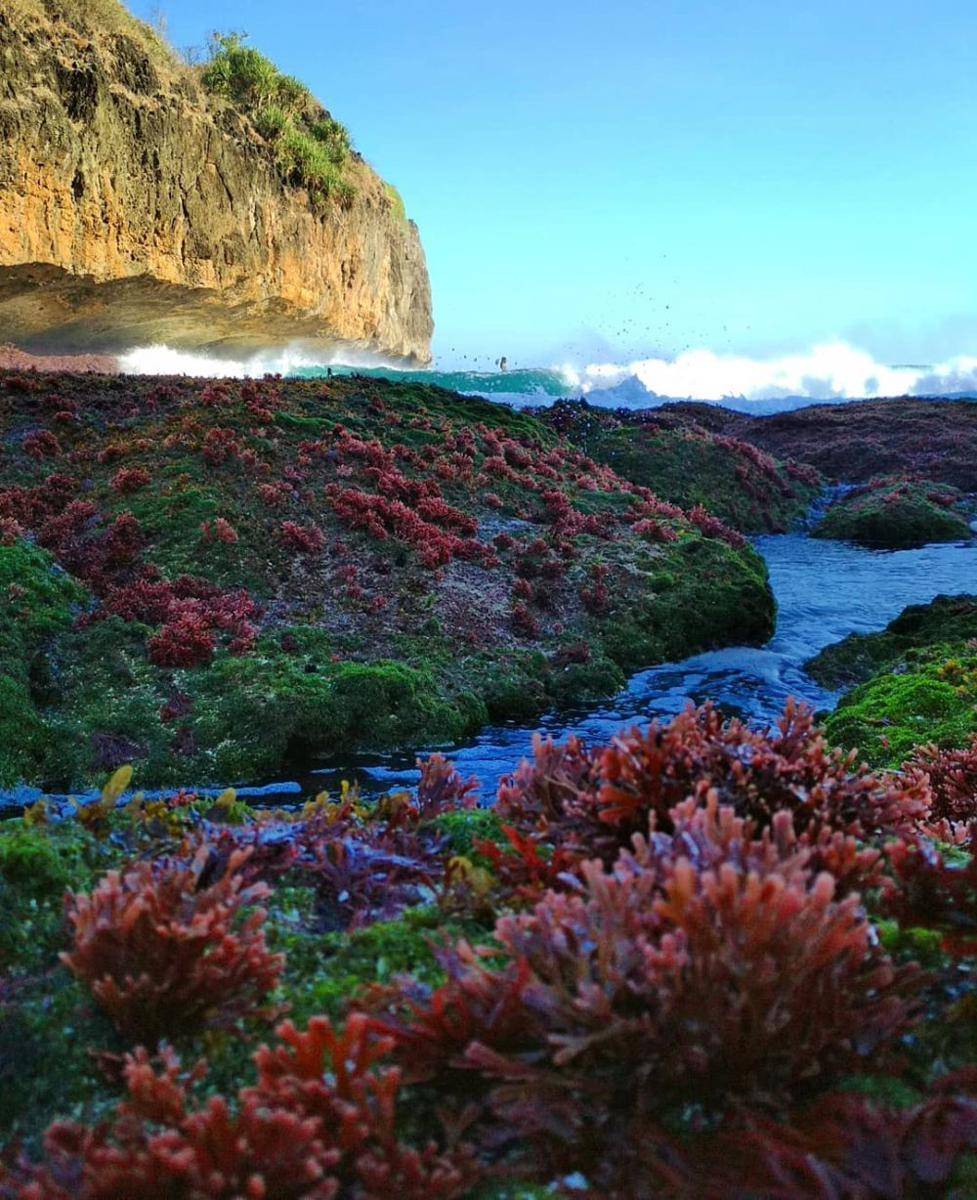 potret Pantai Greweng (instagram.com/Ivandiyoga)