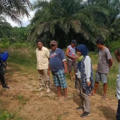 Warga bersama tim Komnas HAM tinjau TKP atau perkebunan sawit yang sering dipanen warga (istimewa)