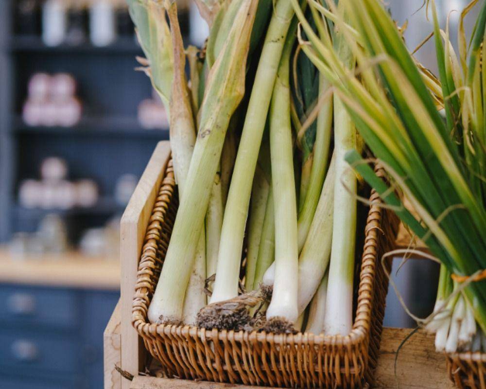 ilustrasi daun bawang (unsplash.com/Phil Hearing)