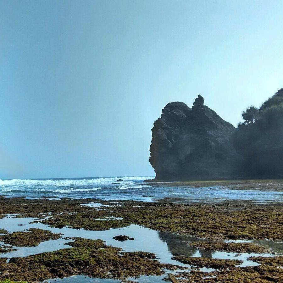 potret Pantai Ngrawah (pexels.com/Vidyaayuu)