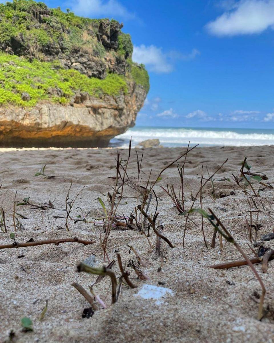 potret Pantai Ngrawah (pexels.com/Veraniaa15)
