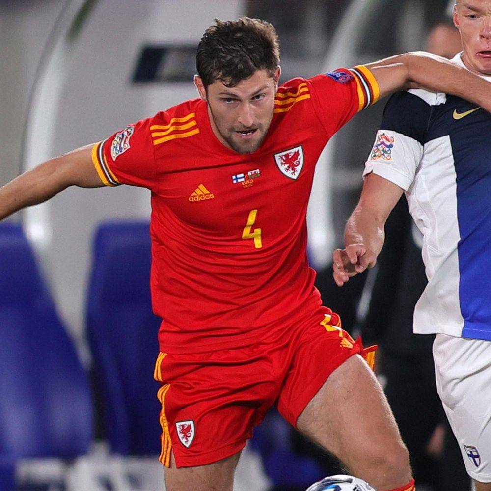 Ben Davies bersama Wales (twitter.com/SpursOfficial)