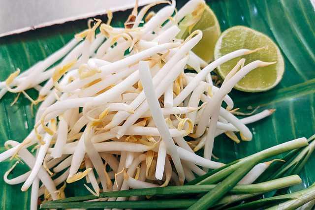 5 Resep Tumis Taoge, Praktis dan Enak untuk Lauk Nasi
