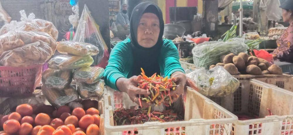 Harga Cabai di Lamongan Makin 'Pedas', Sekilo Rp100 Ribu