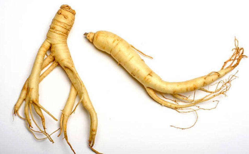 ilustrasi ginseng (istockphoto.com/4kodiak)