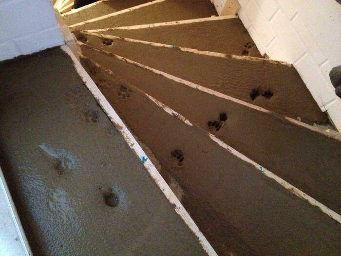 renovasi rumah ambyar (reddit.com/Benutzerkonto)