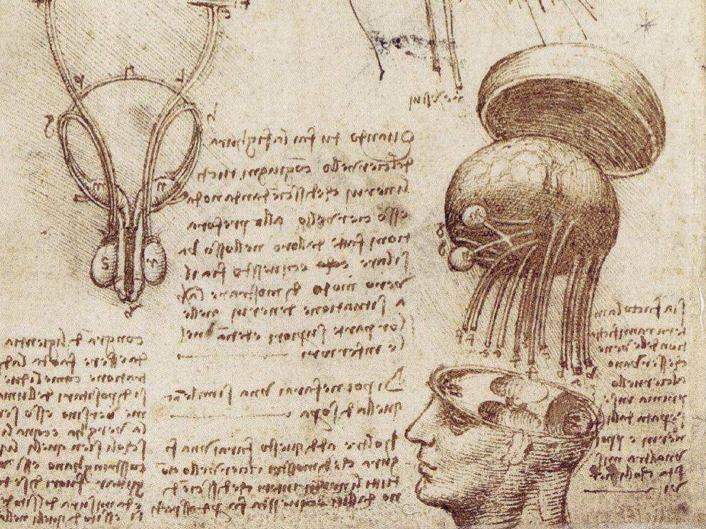 sketsa otak dan tengkorak manusia (commons.wikimedia.org/Leonardo da Vinci)