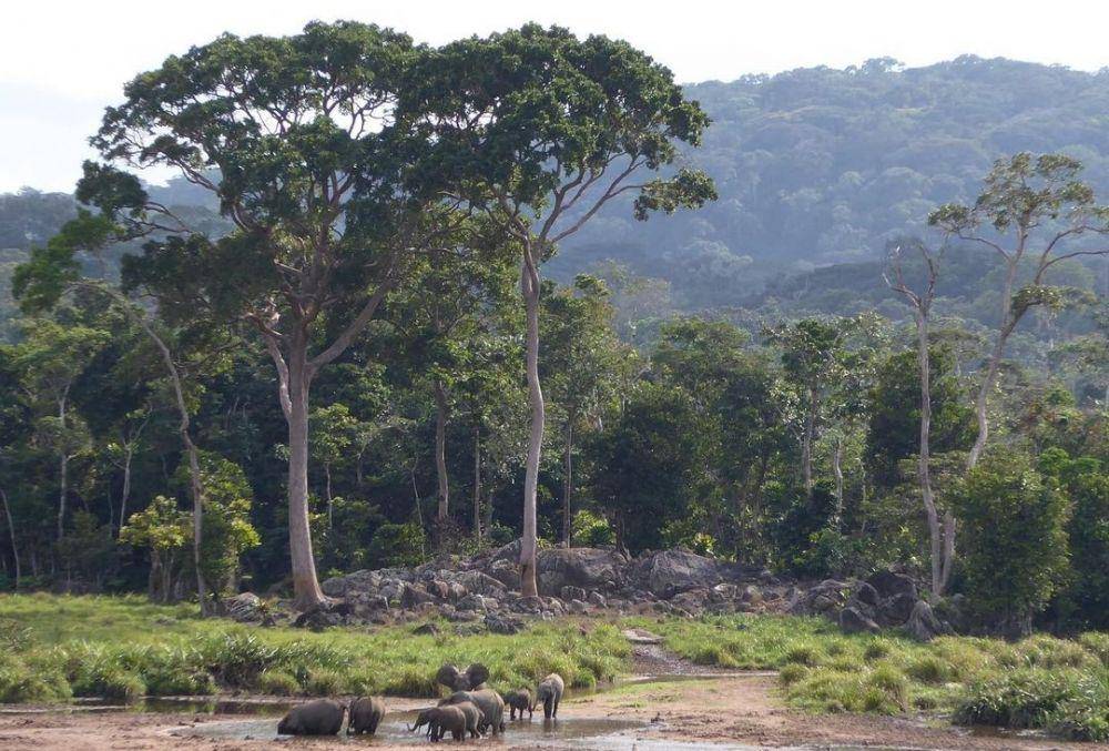 Taman Nasional Ivindo (instagram.com/paultaylor3016)