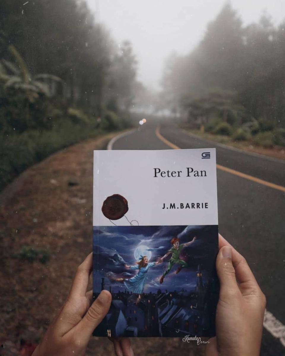 Peter Pan (instagram.com/bibliophilalala)