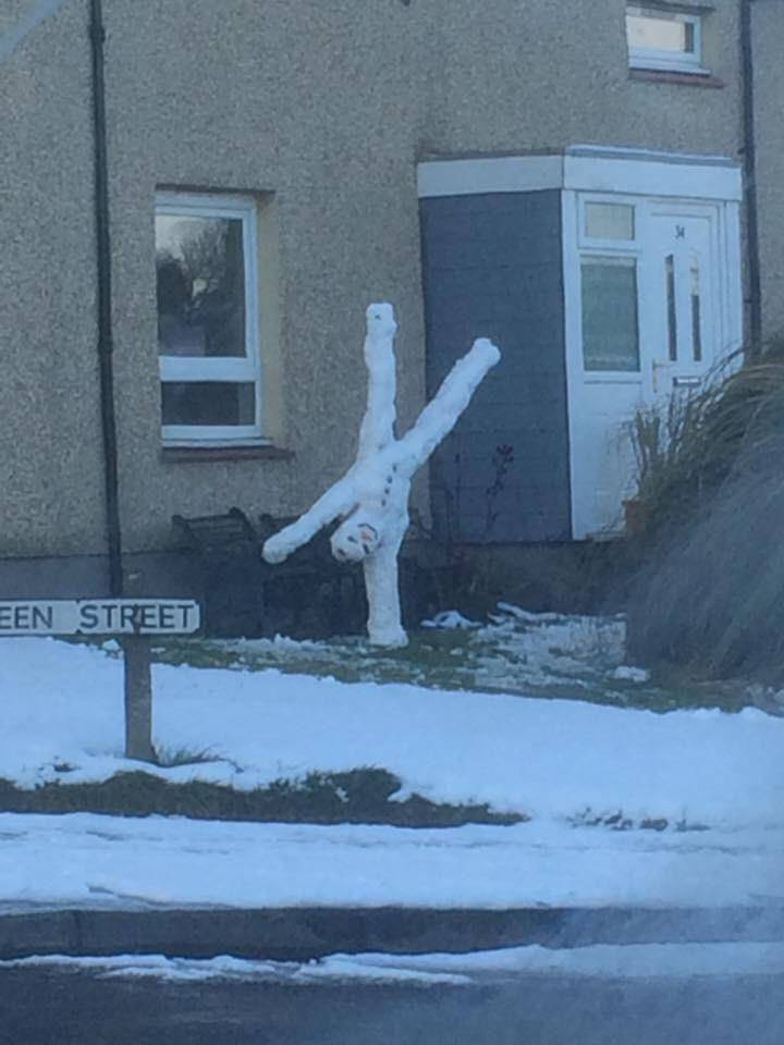 potret kelakuan nyeleneh (reddit.com/r/mildlyinteresting)