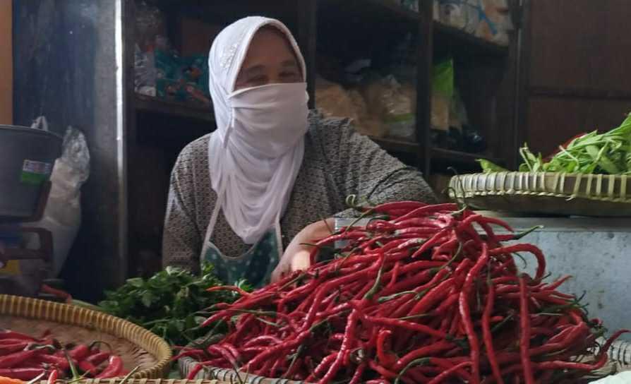 Harga Cabai Menggiurkan Petani Enggan Beralih ke Tanaman Lain