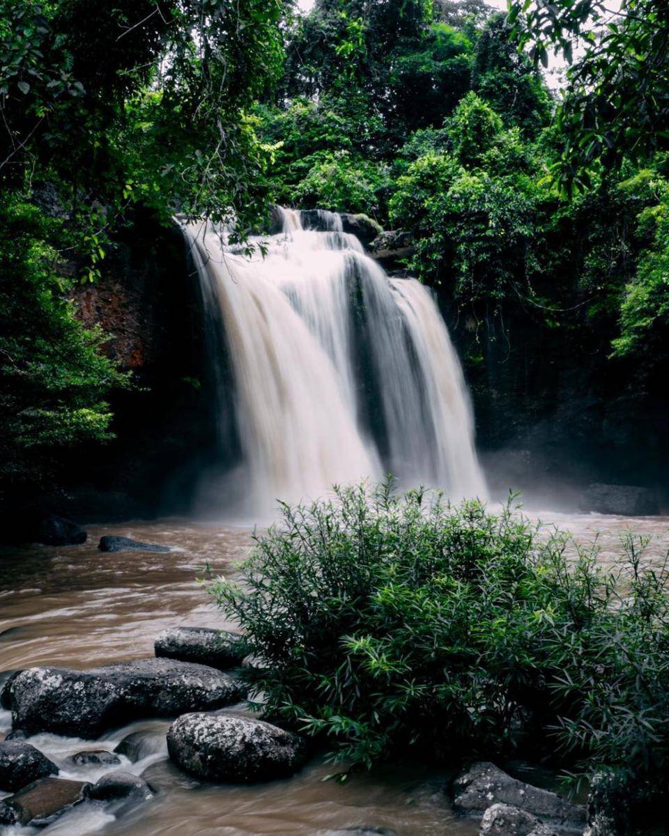 Khao Yai National Park (instagram.com/ton_warunyu)