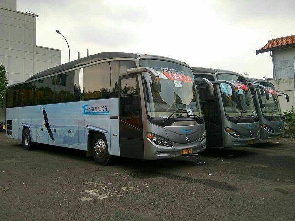 Bus (Instagram.com/eaglehighbus)