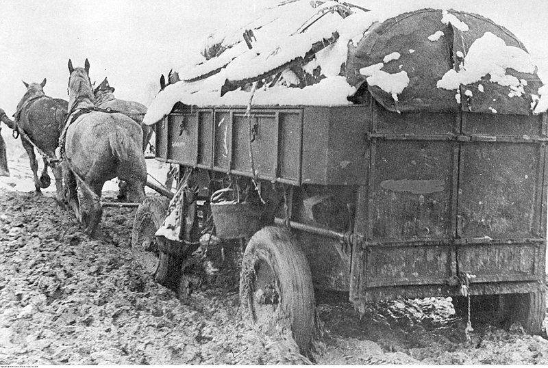 Salah satu kereta kuda yang masih jadi andalan Jerman Nazi dalam urusan suplai. (commons.wikimedia.org/Planik)