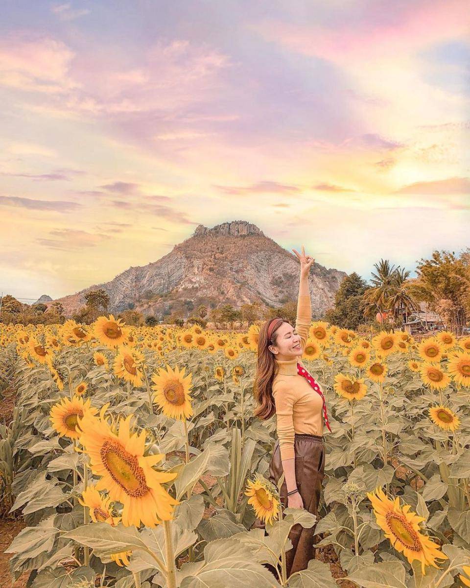 Saraburi Sunflower Field (instagram.com/tan_eunice)