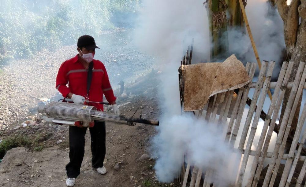 Chikungunya Serang Semua Kecamatan di Bima, Butuh Fogging Menyeluruh