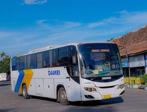 Bus Damri (Instagram.com/damasaputra86_)