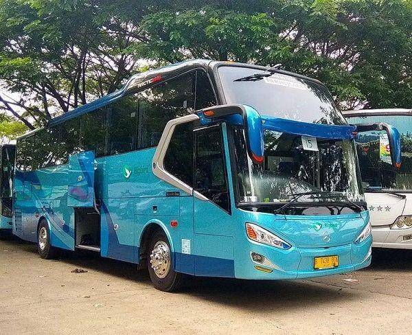 Bus Big Bird (Instagram.com/bigbird.idn)
