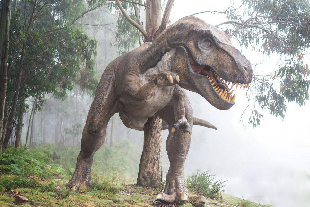 ilustrasi gambar dari dinosaurus purba (unsplash.com/Fausto Garcia-Menendez)