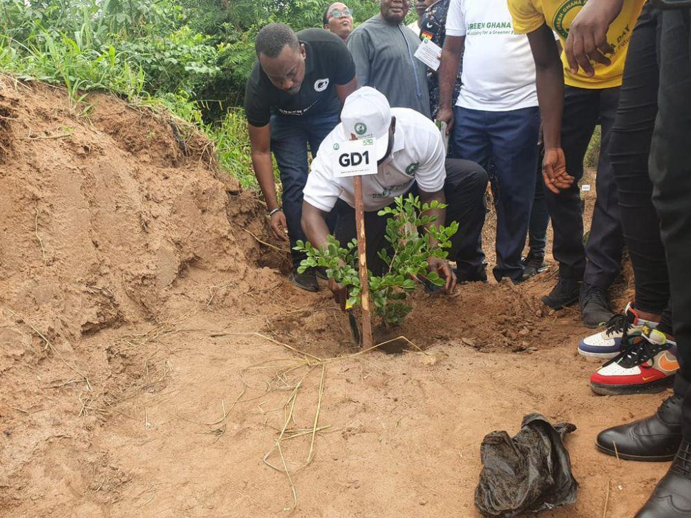 Ghana Luncurkan Proyek Menanam 20 Juta Pohon Sehari