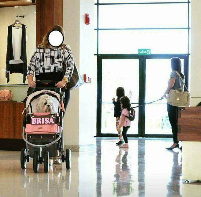 kebetulan ironik paling kocak (imgur.com/deleted)