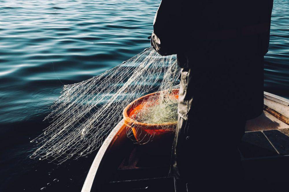 Ilustrasi nelayan. (Unsplash.com/Fredrik Öhlander)