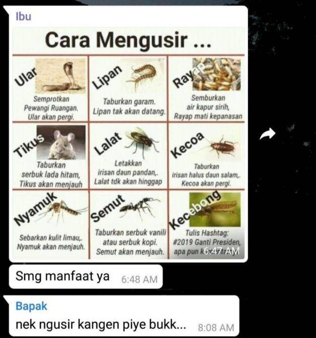 obrolan lucu WhatsApp keluarga (twitter.com/txtdariwa)