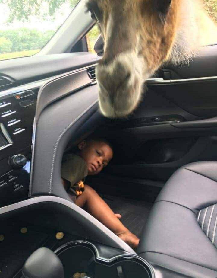 Anak kecil terjebak dalam kesulitan. (facebook.com/Kids in Precaments)
