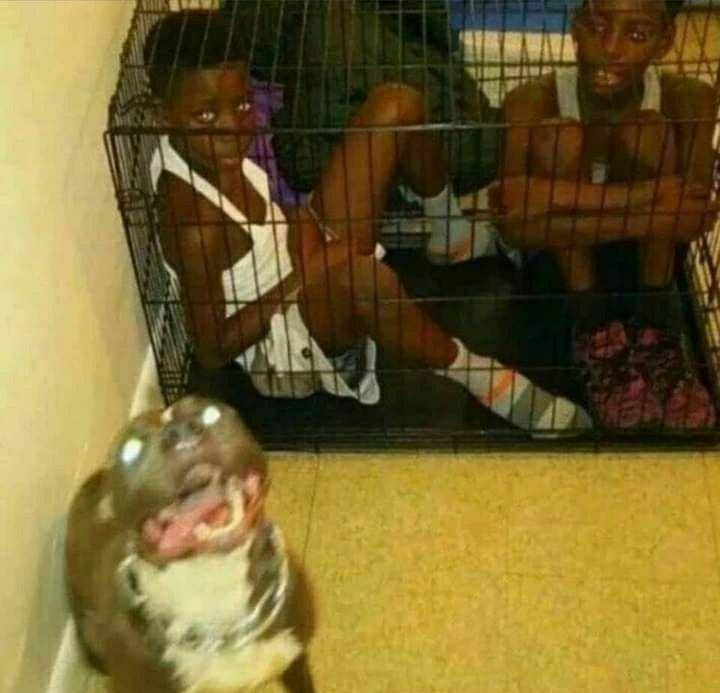 Anak kecil terjebak dalam kesulitan. (facebook.com/Kids in Precaments)