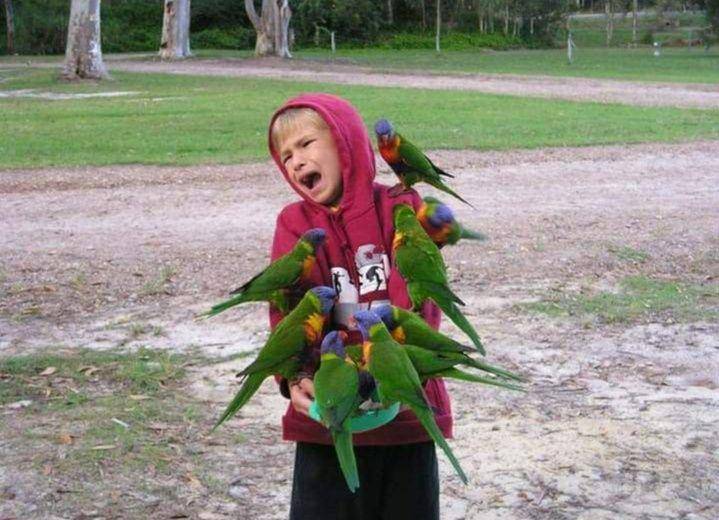 Anak kecil terjebak dalam kesulitan. (facebook.com/Kids in Precaments)